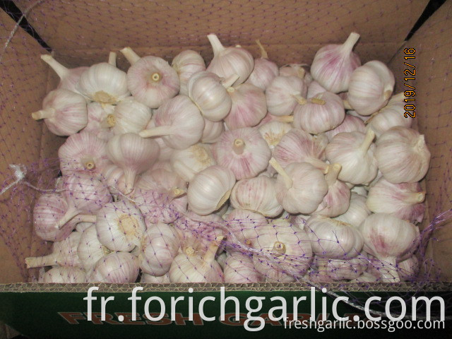 How Should I Store Fresh Garlic